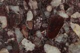 Polished Pudding Stone (Conglomerate) Slab - Michigan #336994-1